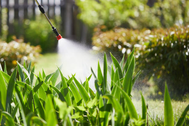 24/7 Emergency Cockroach Control experts in Florham Park, NJ